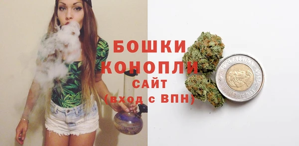 прущая мука Няндома