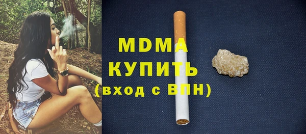 прущие грибы Новозыбков