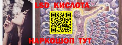 шишки Гай