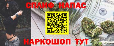 шишки Гай