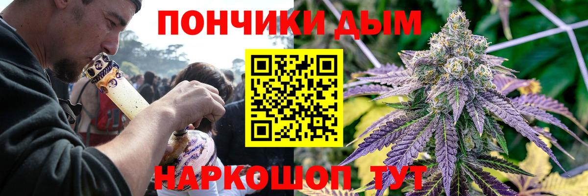 Каннабис сатива Дербент